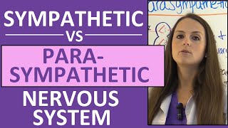 Sympathetic and Parasympathetic Nervous System (Autonomic) Anatomy, Pharmacology Nursing