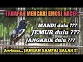 JANGAN SAMPAI SALAH !!! TAHAPAN MENCARI EMOSI KACER