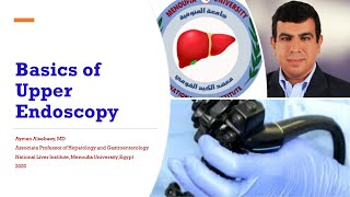 Basics Of Diagnostic Esophagogastroduodenoscopy (EGD)
