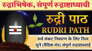 Complete Rudri paath With Lyrics | Vedic Chanting by 21 Brahmins| शुक्ल यजुर्वेदीय रुद्राष्टाध्यायी