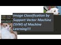 Image Classification Through Support Vector Machine (SVM) | Machine Learning