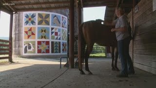 Barn quilt displays family history on silo