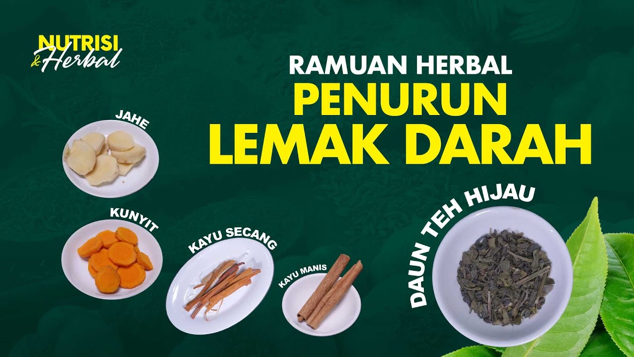 Kolesterol Tinggi? Racik Ramuan Herbal Untuk Menurunkan Lemak Darah ...