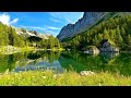 1 Hour of Birds Singing on the Lakeshore and Water Sounds - Relaxing Nature Sounds - Mount Shuksan