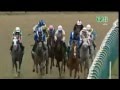 Race - 10 September 2016 - Lingfield Park