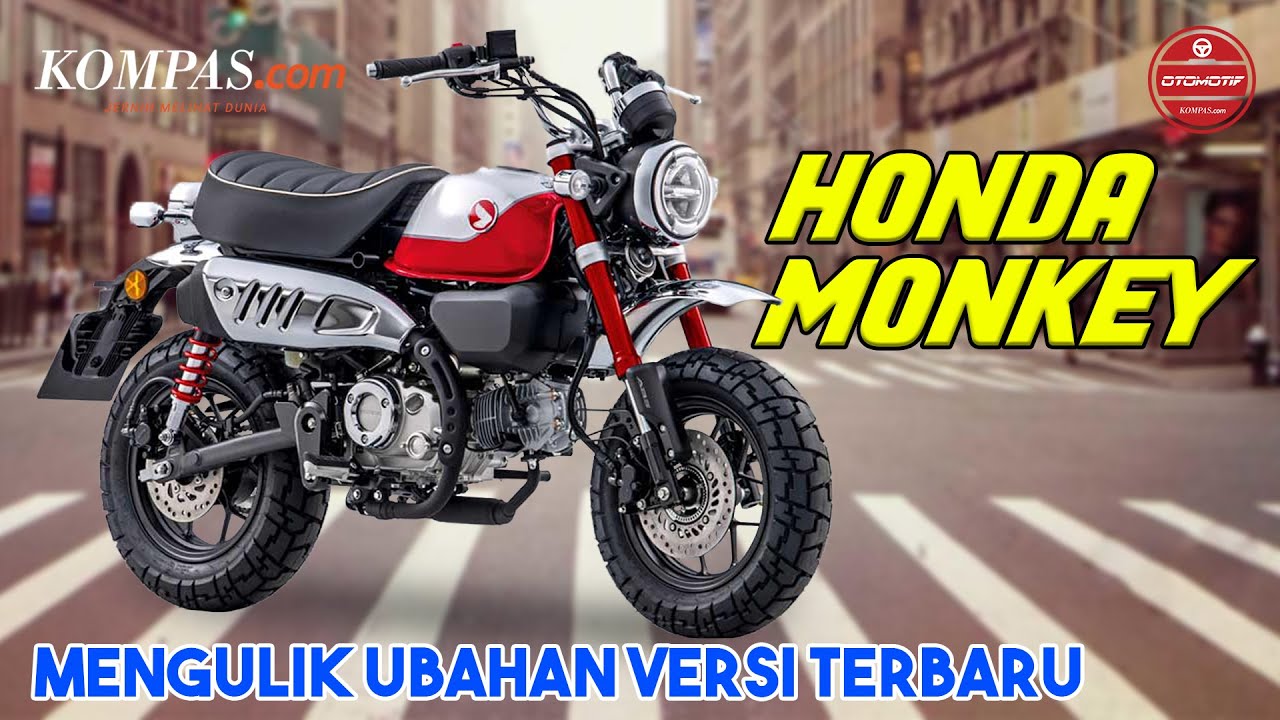 REVIEW | Honda Monkey 2022, Mengulik Ubahan Versi Terbaru - YouTube