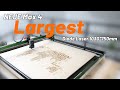 NEJE Max 4 Diode Laser|The Largest Working Area#laser #diy #4k