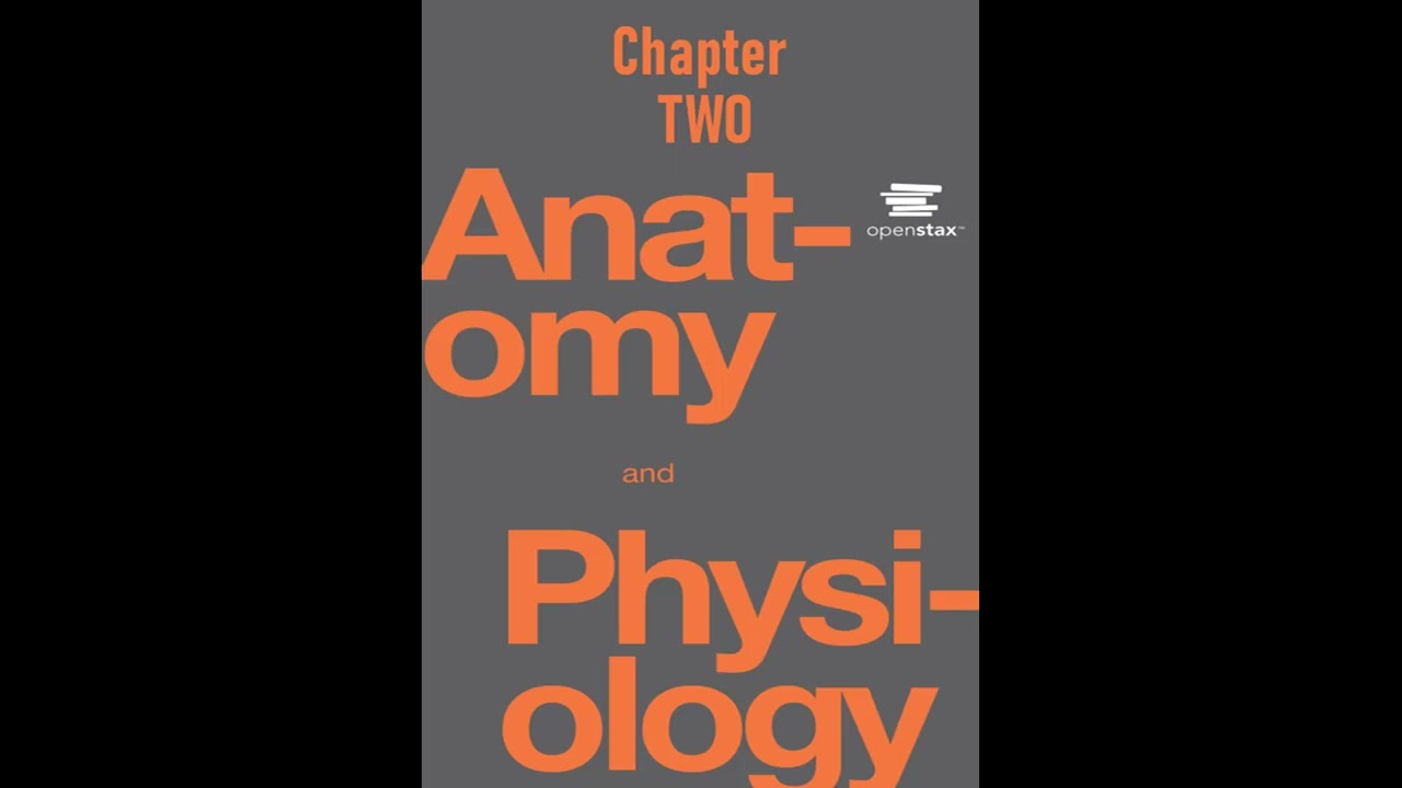 OpenStax Anatomy And Physiology Audiobook Chapter 2 - Read Along - YouTube