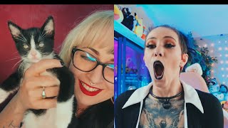 Quinky VIP: Skylar Calico