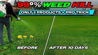 I Killed 99% of Weeds Using This PRO Trick — With ONLY 2 Products (INSANE Results)