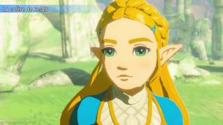 L'histoire de Breath of the wild (Film)