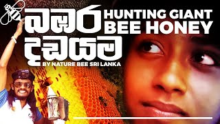 Hunting for Giant Bee Honey [ENG Sub.] | බඹර දඩයම