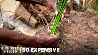 Why Kenyan River Reed Salt Is So Expensive | So Expensive