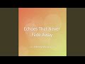 Echoes That Never Fade Away