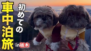 【初！車中泊旅】愛犬とハイエースで行く車中泊旅が楽し過ぎた✨️高級いちご/夜景/絶品佐野ラーメン！