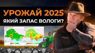 УРОЖАЙ 2025. Який запас вологи має Україна? Потенціал культур по областях