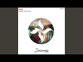 Liar (Original Mix)