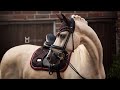 In The End // Equestrian Music Video