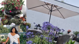 Summer garden Tour || London Rooftop terrace || Update 2021