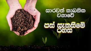 ‍සා‍ර‍වත්‍ ‍කා‍බ‍නි‍ක ‍ව‍ගා‍වේ ‍පස්‍ ‍සැ‍ක‍සී‍මේ ‍ර‍හස්‍  #Soba