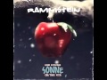 Rammstein - Sonne - LIFAD Tour Version Extended Mix by Cristian Vita