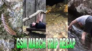 Great Smoky Mountains March trip Recap!