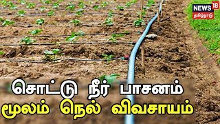 Payirthozhil Pazhagu: How To Make Paddy Farming Successfully Through Drip Irrigation?