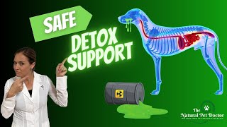 Holistic Vet Care - Safe Cat & Dog Detox Support | Dr. Katie Woodley - The Natural Pet Doctor