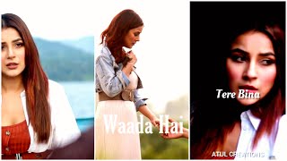 Waada Hai - Shehnaaz Gill | Full Screen WhatsApp Status Song | Arjun Kanungo | ATUL CREATIONS |