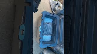Day two Igloo IMX cooler (90 degrees today)