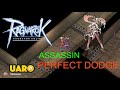 [UARO] Perfect Dodge 100% - Biolabs2 Assassin Cross 🔪🤖 - Leveling & Zeny