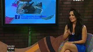 Alma Rosa González Cano en TVCn Ambientales - Adopta una mascota