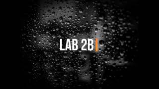MICROPROCESSOR SYSTEM-(LAB 2)