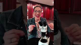 How Microscopes Work: Magnification