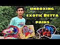 unboxing exotic betta pairs # low price betta fish sales ##@Aathi aquarium