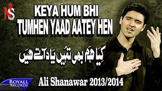 Ali Shanawar | Kya Hum Bhi Tumhein Yad Atey Hain | 2013-2014 | کیا ھم بھی تمھیں یاد اتے ھیں