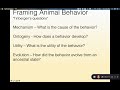 Module 8.3 -  Evolution and Animal Behavior part 2