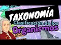 ⚡TAXONOMÍA [clasificación de los seres vivos en 3 minuto]guía examen unam-ipn-comipems