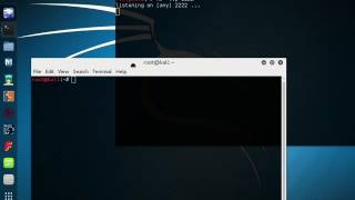 Reverse shell on distccd in python