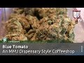 TOP CANNABIS COFFEESHOP: Blue Tomato in Hoorn, Holland - Smokers Guide TV Amsterdam