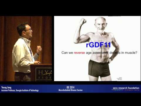 What are the aging related structural changes to skeletal muscle that could account for this functional outcome?