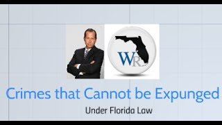 Broward County Sealing and Expunging of Criminal Records Lawyer
