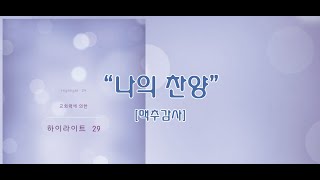 나의 찬양 / 하이라이트 29집