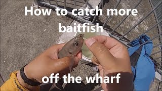 NZ Basic Fishing | Tutorial | How to catch baitfish off the Wharf