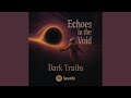 Echoes in the Void