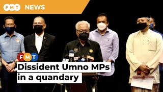 Umno’s pro-Muhyiddin MPs may incur the wrath of party leaders, grassroots