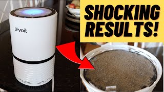 Levoit Air Purifier Review 2021 | Shocking Results 6 Months Later | H13 HEPA Filter Mold Dust Pollen
