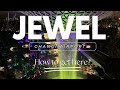 How to get to Singapore Jewel Changi Airport plus the HSBC Rain Vortex Light & Sound Show