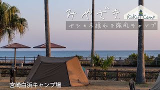 【宮崎白浜キャンプ場】ヤシの木揺れる強風キャンプ