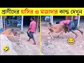 পশুদের মজার কর্মকান্ড ক্যামেরায় রেকর্ড 😂 | Funny Animals Video 2023 | Bangla Rides | Mayajaal